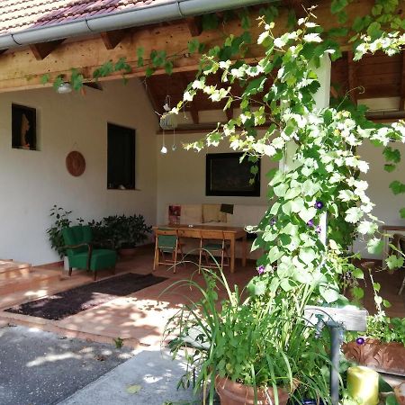 Anna'S Cosy Apartment Illmitz Exterior foto